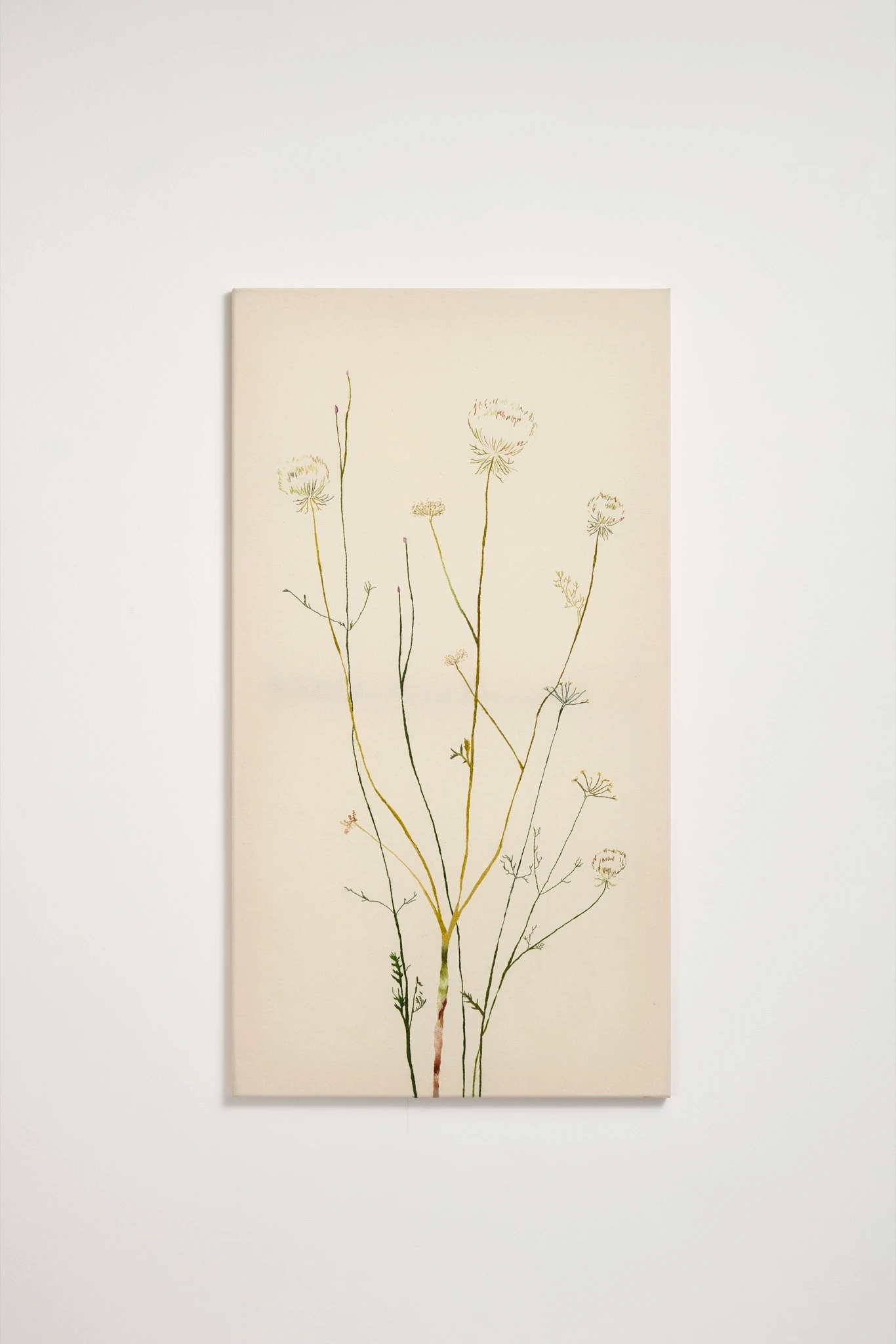 Wild Carrots